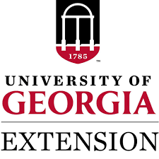 Extension Logo
